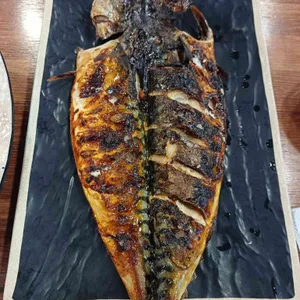 털보고된이 사진