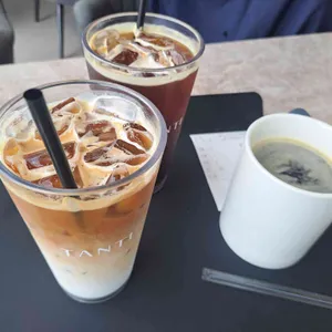 탄티 사진