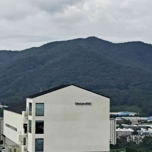 탄티 리뷰 사진