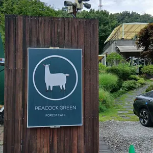 피콕그린 리뷰 사진