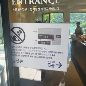 로이테 리뷰 사진