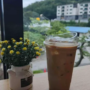 소나무카페 사진