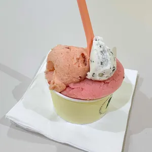 젤라꼬피아 사진