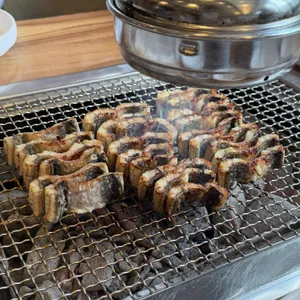 미남장어 사진