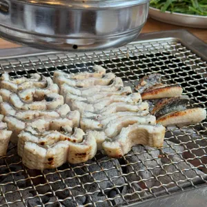 미남장어 사진