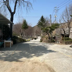 토일농원 리뷰 사진