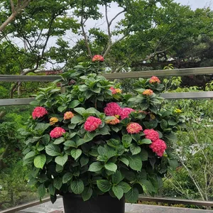 사계 사진 2