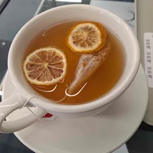 의정서 사진 2