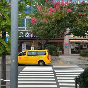 오초오늘의초밥 사진