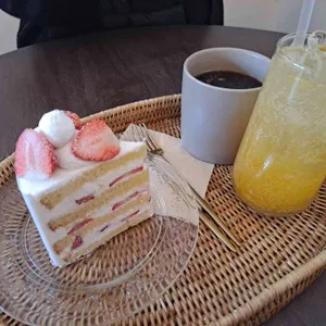 칙투칙 사진