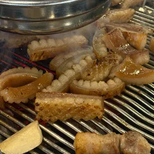 기쁨돼지 사진