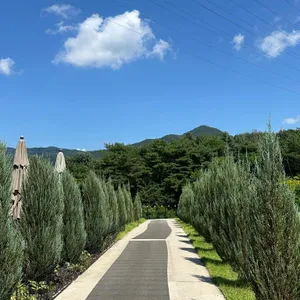 리퍼블릭 리뷰 사진