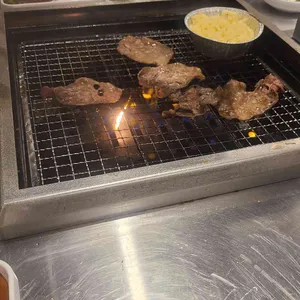 호르몬치치 대표 사진