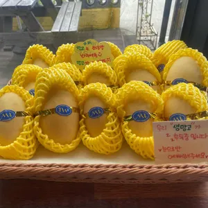 망고하이 사진 1