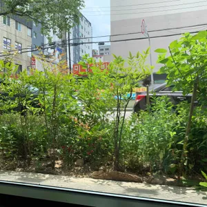 코지트리거 사진 2
