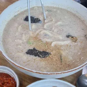 제갈콩명 사진