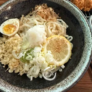 코야 사진