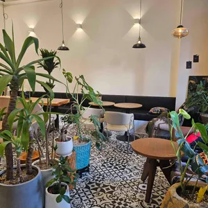 노넥 noneck coffee 리뷰 사진