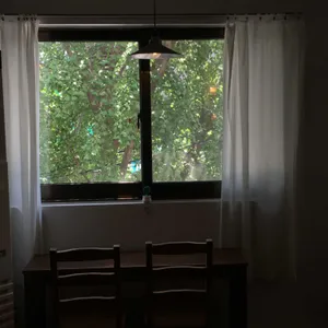 보통공원 사진 2
