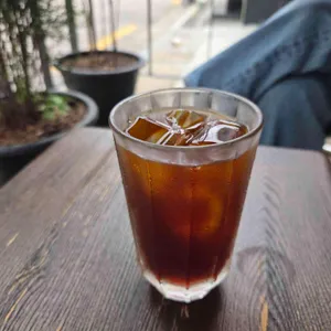 틸로스터스 사진 1