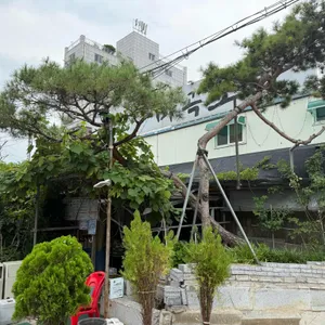 마곡오리 리뷰 사진