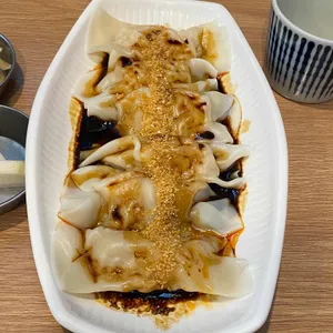 알러이 사진
