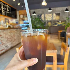 커피나무 사진