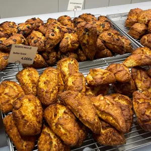 스코프 리뷰 사진