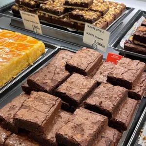 스코프 리뷰 사진