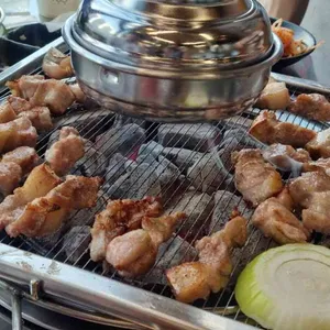 식껍 사진