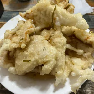 일가인 사진 1