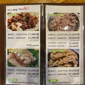 백운애꽃 리뷰 사진