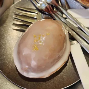 나무사이로 사진