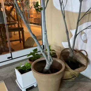 그레이펭귄컴퍼니 리뷰 사진