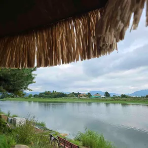 비아조 리뷰 사진