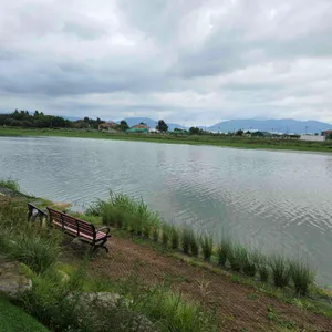 비아조 리뷰 사진