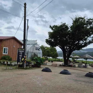 연핫도그 리뷰 사진