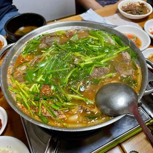 통정흑염소 사진