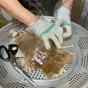 통정흑염소 사진