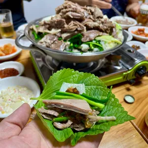 통정흑염소 사진