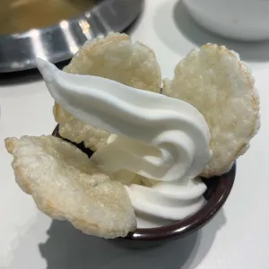 봄담아 사진