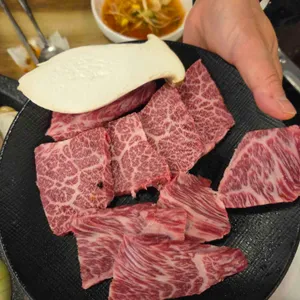 농장사람들 사진