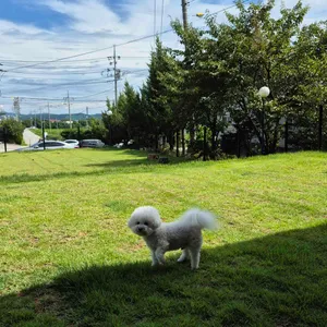 위우드커피 리뷰 사진