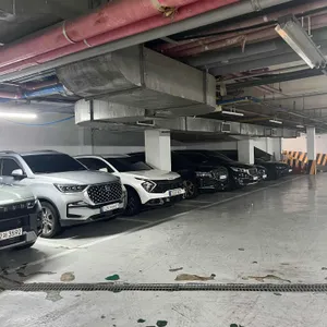이비가짬뽕 리뷰 사진