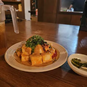 공중제비 사진