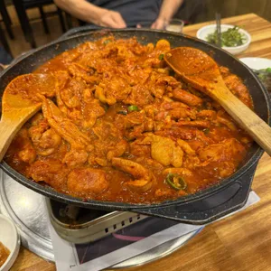 낙동생오리 사진