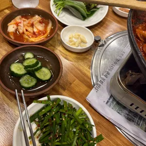 낙동생오리 사진