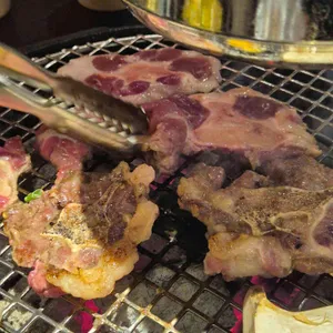 경송 사진