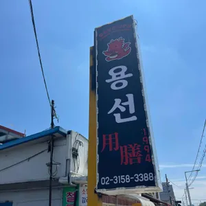 용선1994 대표 사진