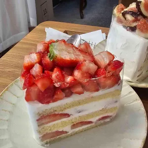 윤숲 대표 사진
